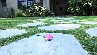 Lezzies SURRENDER - (Full HD Flick - Original Version)